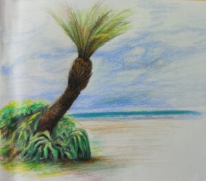 colour pencil sketch, 2020