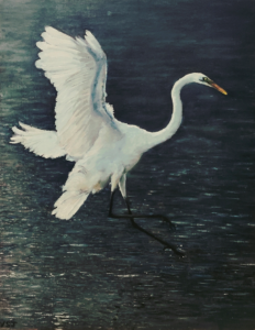 Egret