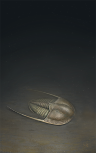 A small blind trilobite in the depths of an ordovician sea : Cryptolithus. , Procreate, 2023