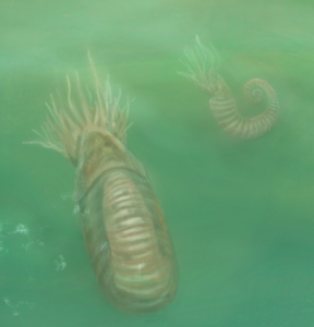 Detail: Aphetoceras - Ordovician barren land from Sea., Procreate and Photoshop, 2023