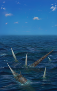 Orthoceras hunting Murrayoceras in Middle Ordovician ocean., Procreate, 2023