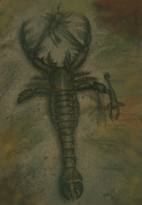 Megalograptus, eurypterid  from the late Ordovician Period , April 2025
