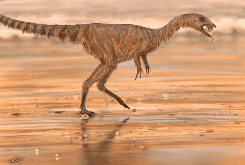 Dracoraptor catches an ammonite on an Early Jurassic beach, Krita, May 2025. 